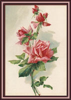 Authentic Antique Print Item # 15122