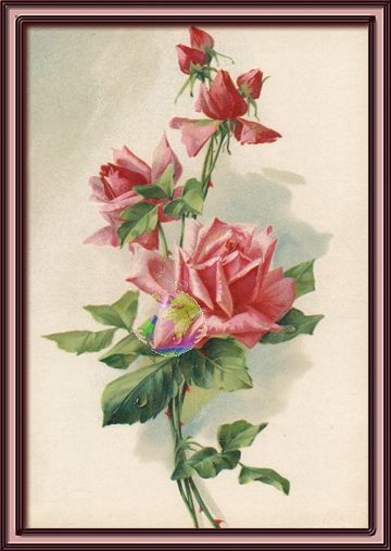 Authentic Antique Print Item # 15122
