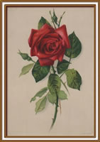 Authentic Antique Print Item # 14922